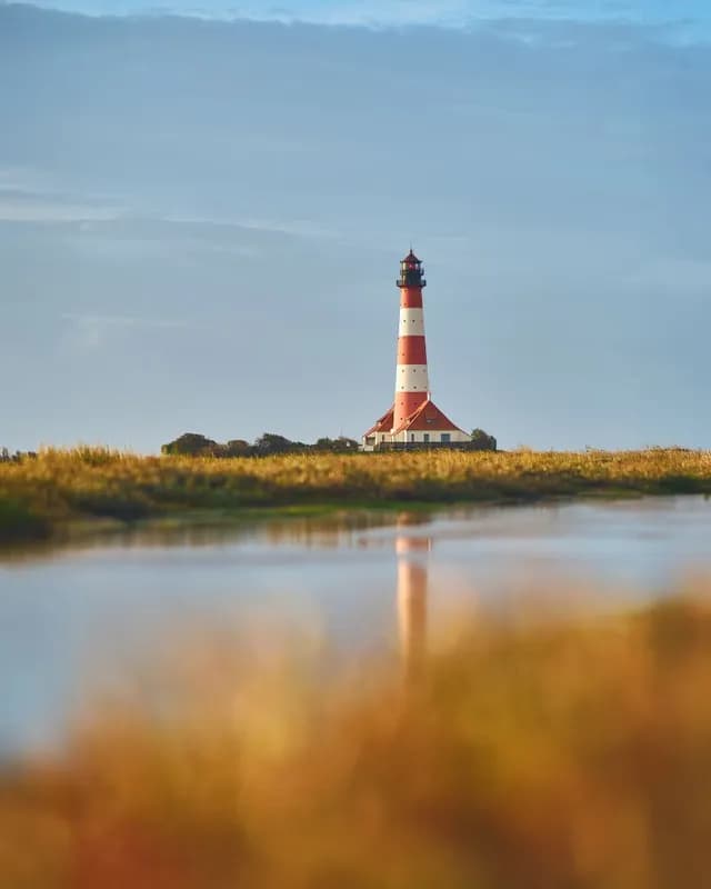 Ferienhaus auf Eiderstedt mit Reetdachhäusern zwischen Deich und Nordsee