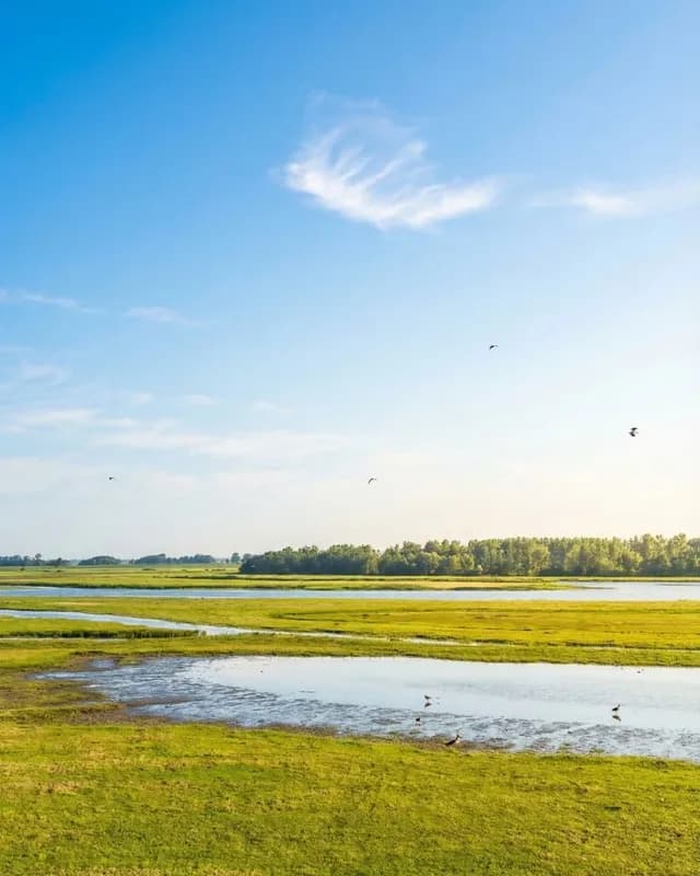 Ferienhaus in Kating am Katinger Watt, Natur pur bei Tönning