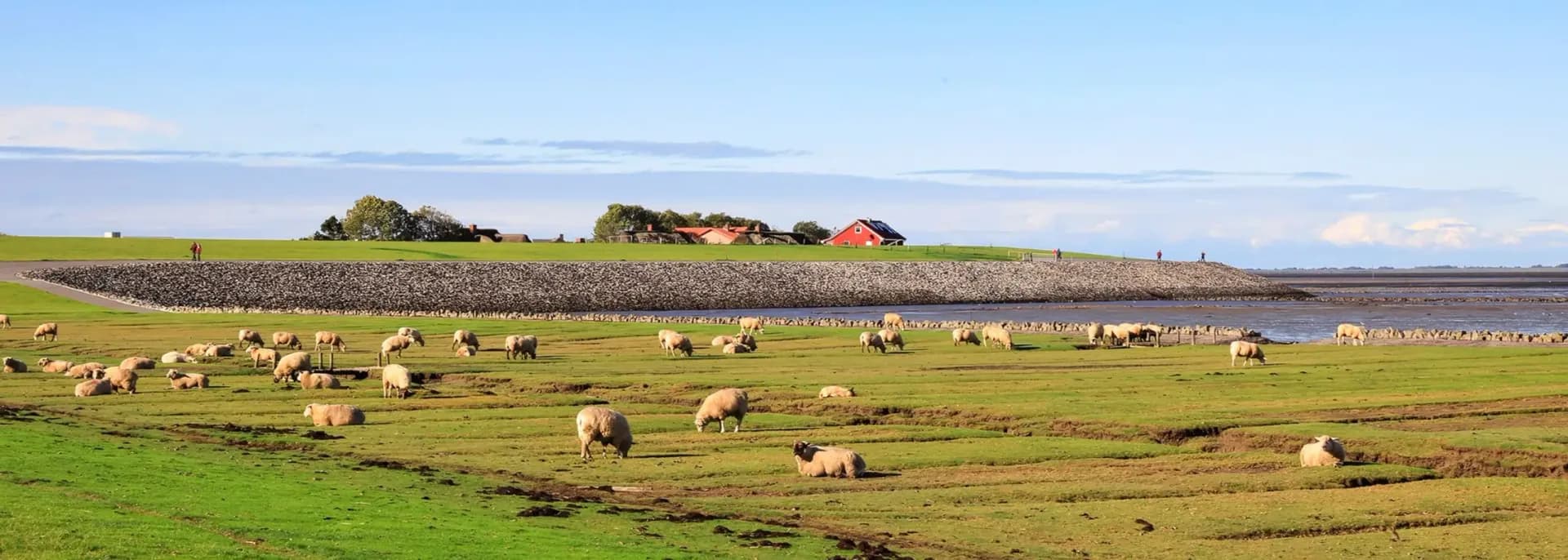 Ferienhäuser & Ferienwohnungen auf Nordstrand: Ruhe, Deich und ganz viel Horizont