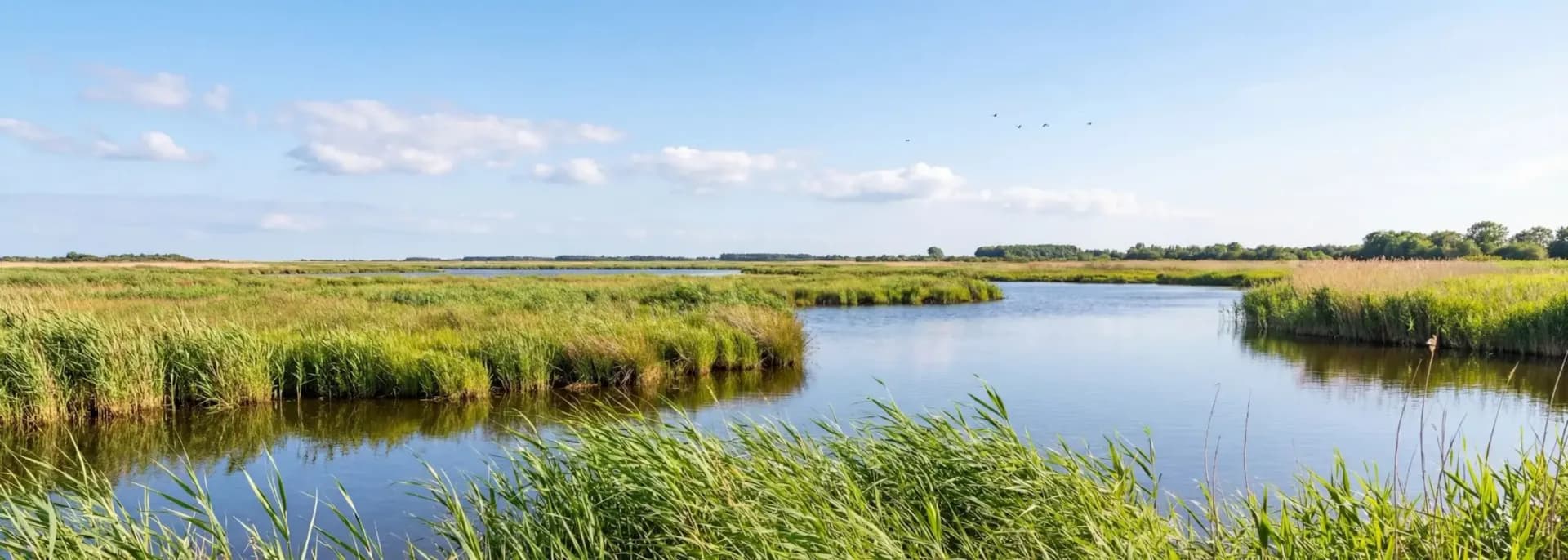 Ferienhaus und Ferienwohnung in Risum-Lindholm: friesischer Charakter mit guter Anbindung