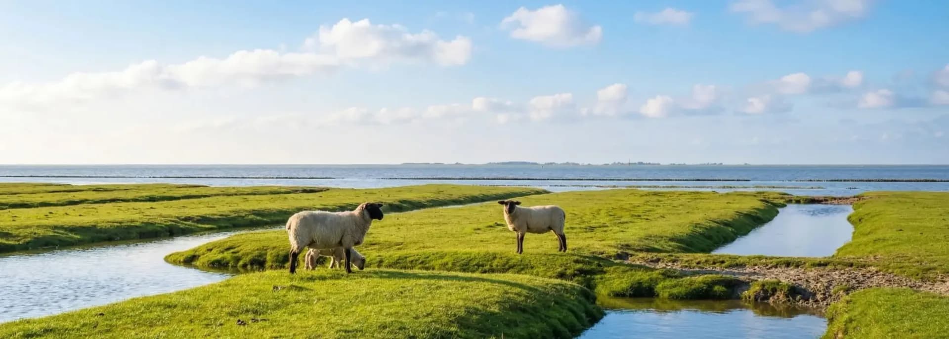 Ferienhaus und Ferienwohnung in Simonsberg: Deichdorf mit Weitblick
