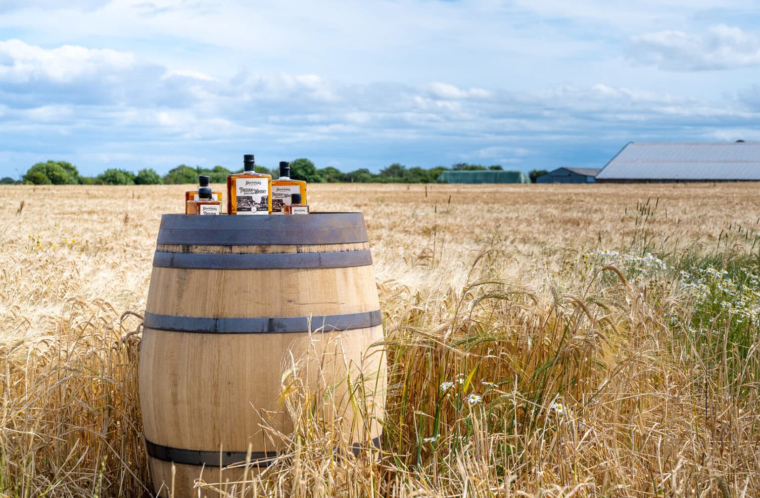 Whisky Tasting auf der Insel Föhr