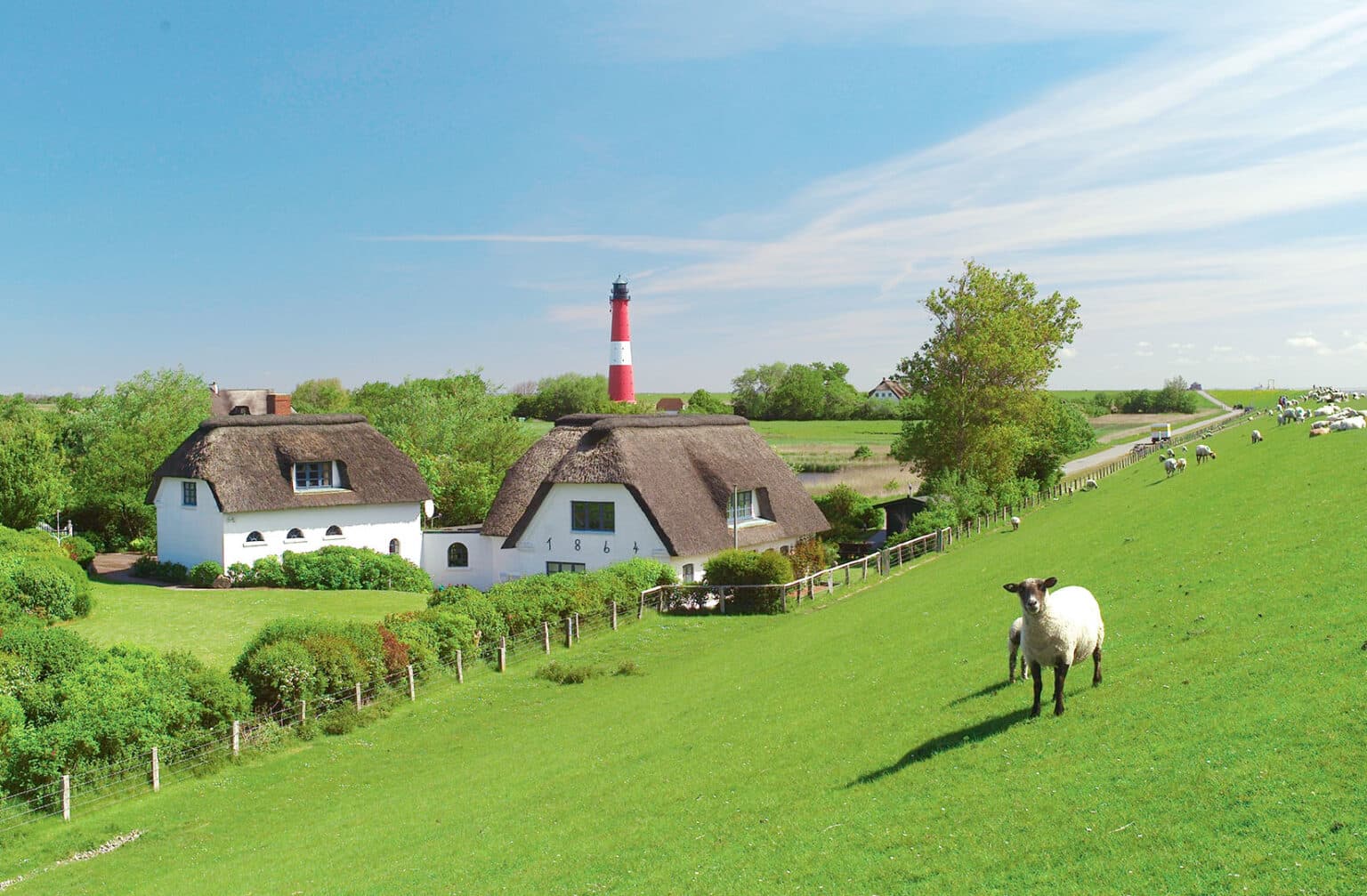 Grüne Marschlandschaft auf Pellworm