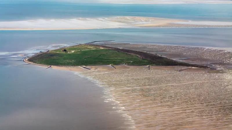 Luftaufnahme der Hallig Südfall, eine einzelne Warft mitten im trockengefallenen Wattenmeer