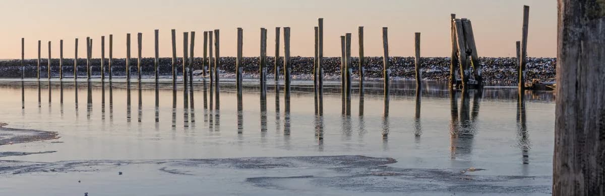 Ausflug durch eine wunderschöne Nordfriesland-Winterlandschaft