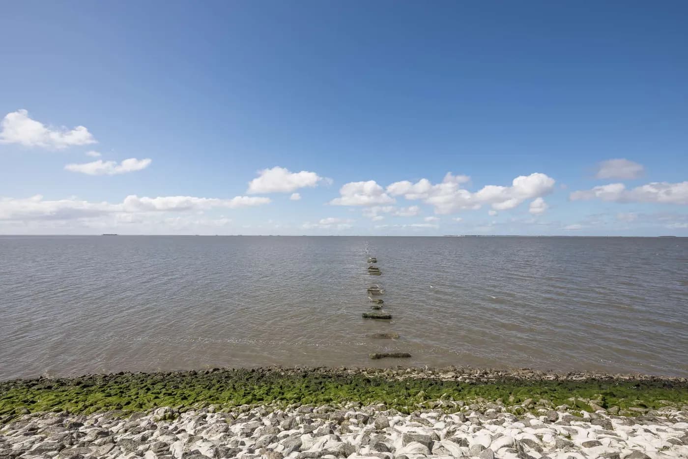 Urlaub in einem Ferienhaus in Dagebüll: Interview mit einem Stammgast