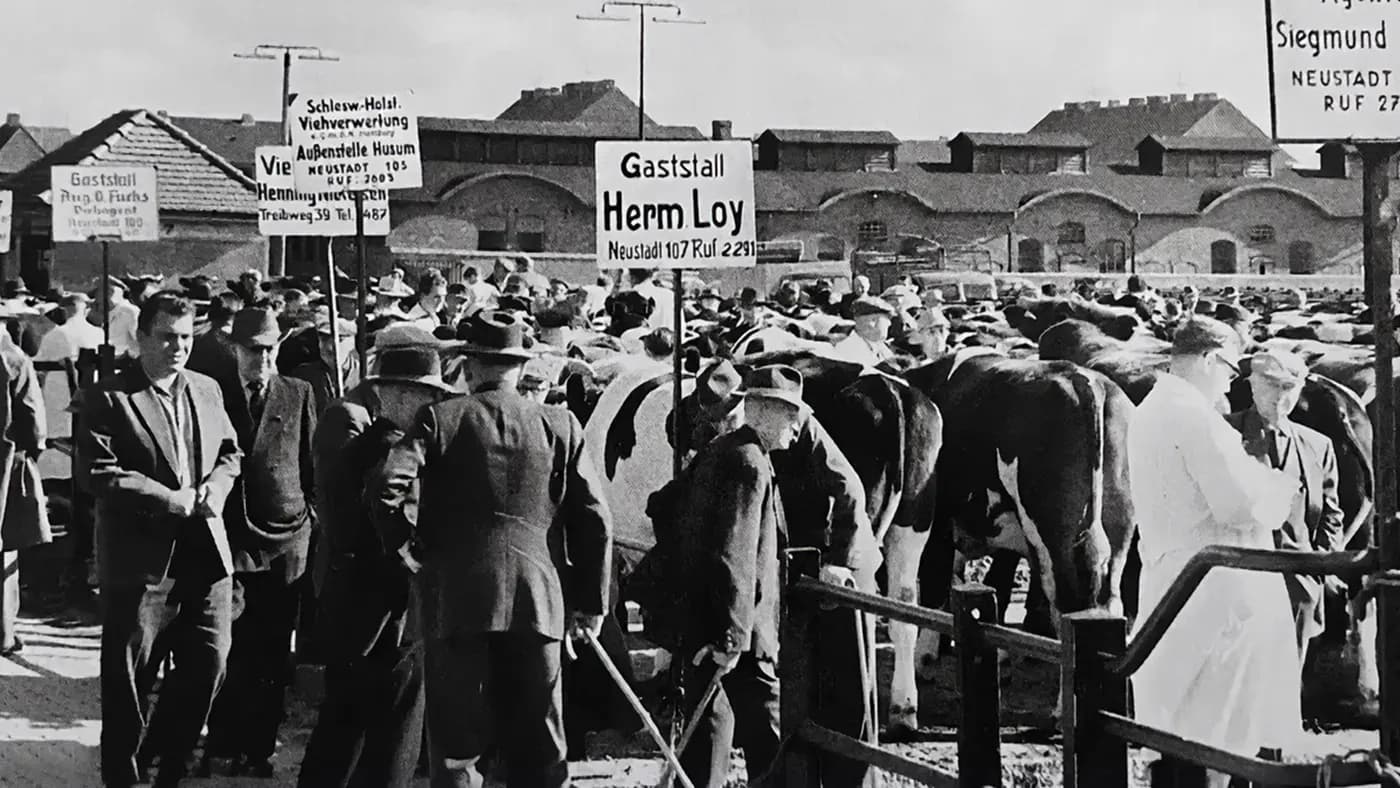 Zeitreise: Die Lodge am Oxenweg in Husum