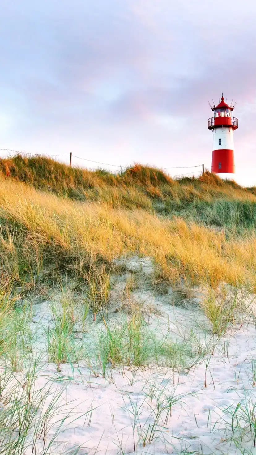 Ferienhaus Husum Nordsee