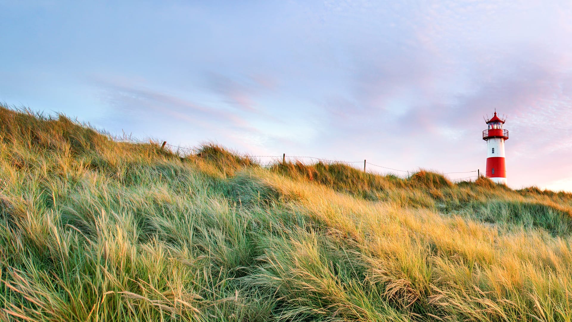 Rot-weißer Leuchtturm hinter Dünen mit Strandgras an der Nordsee im Abendlicht, Ferienhaus-Urlaub in Nordfriesland