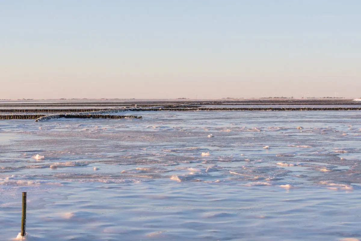Winterlandschaft Nordfriesland 9