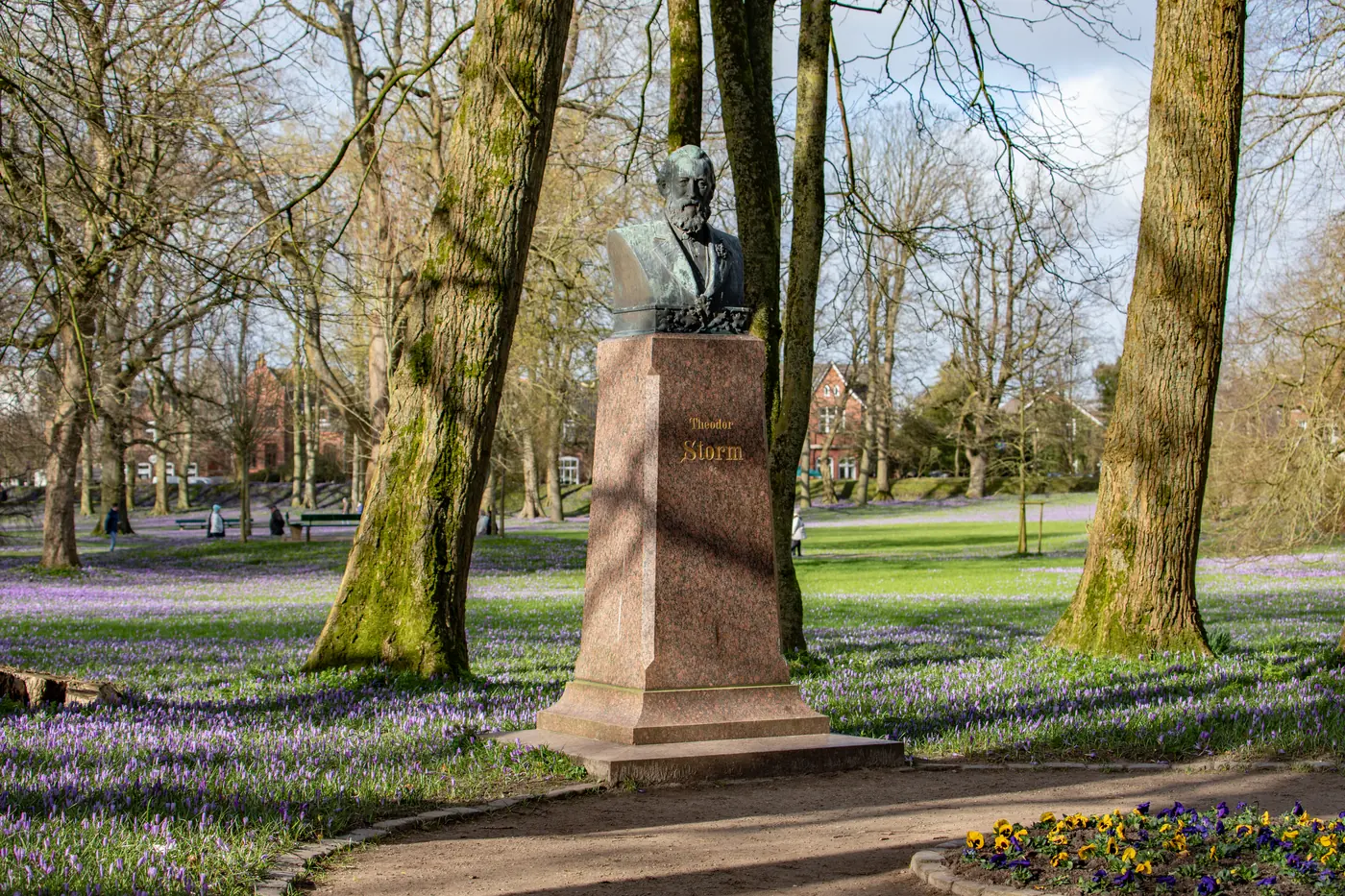 Bronzebüste Theodor Storms auf einem roten Granitsockel im Schlosspark, ringsum lila Krokuswiesen unter alten Bäumen