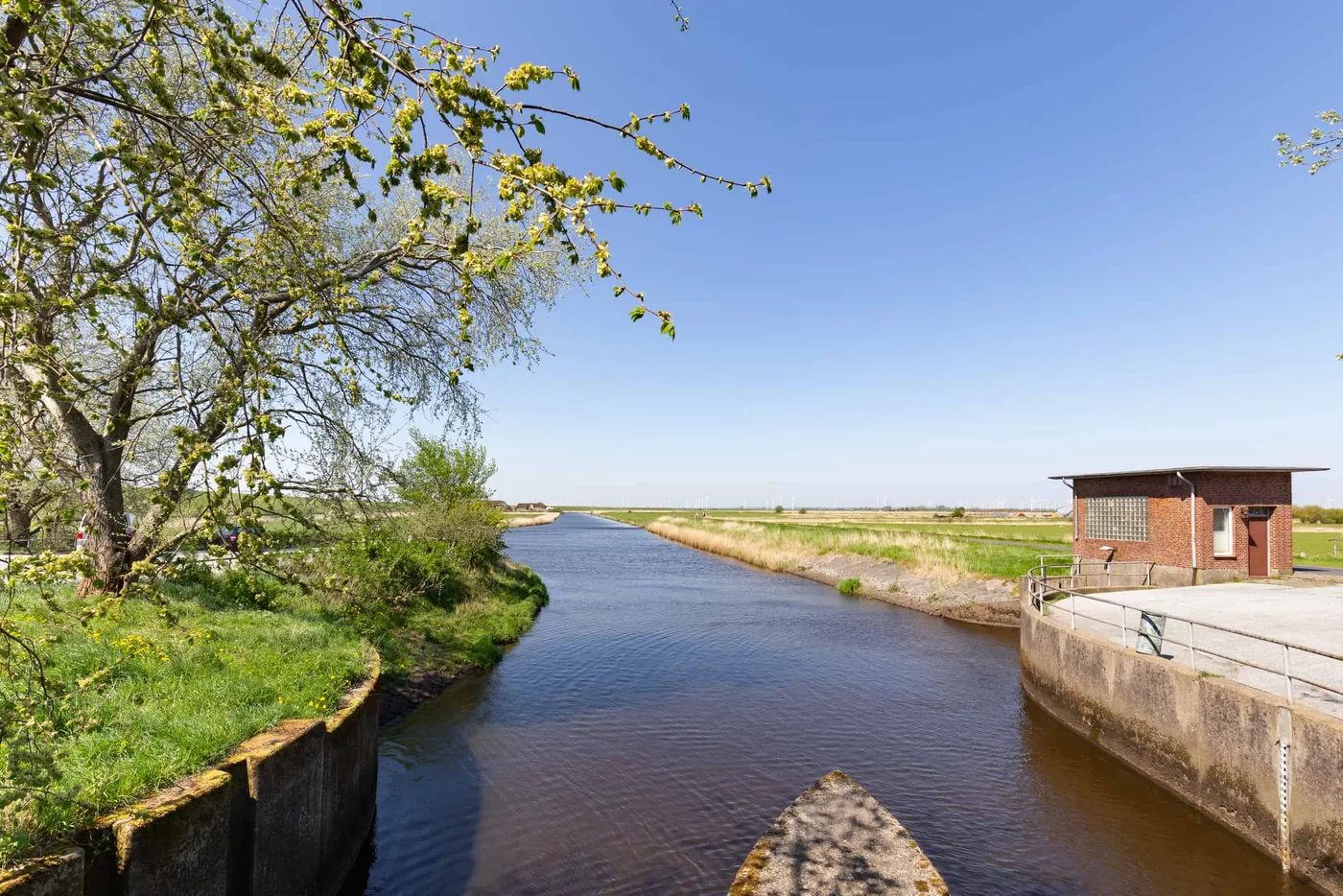 Beltringharder Koog Wasser